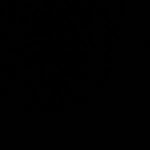 Meet your Posher, Ella